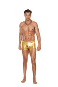 Men's Lamé Boxer Brief by Elegant Moments - front view