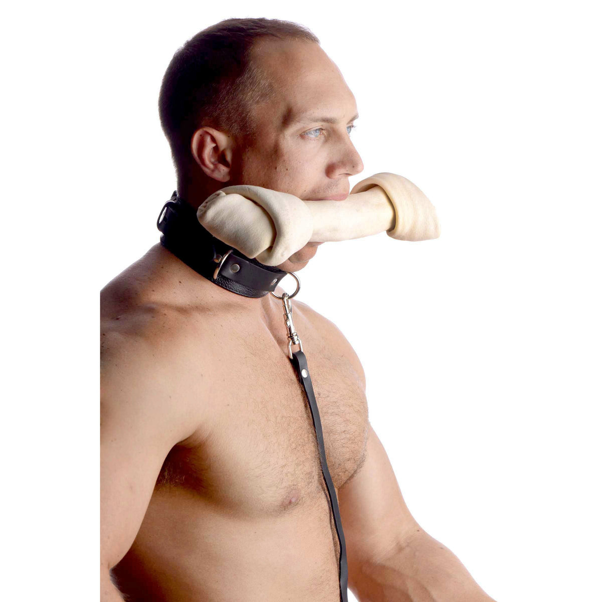 Leather leash and collar kit